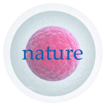 《Nature》| 敲黑板，研究人员注意了！癌细胞株可能与您想的不同
